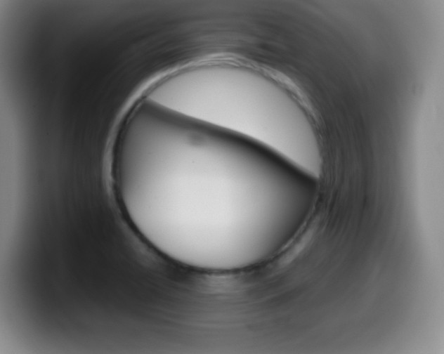 X0000099971422200805230952