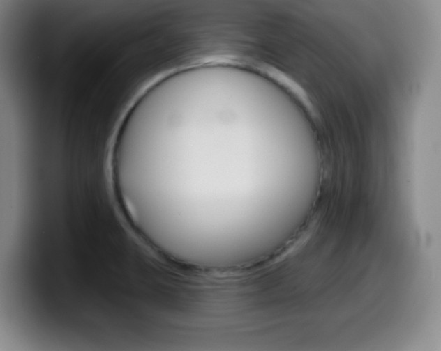 X0000099971423200805230952