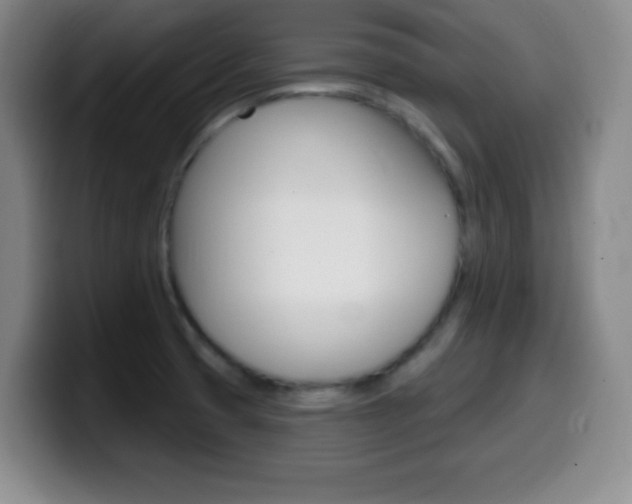 X0000099971425200805230952