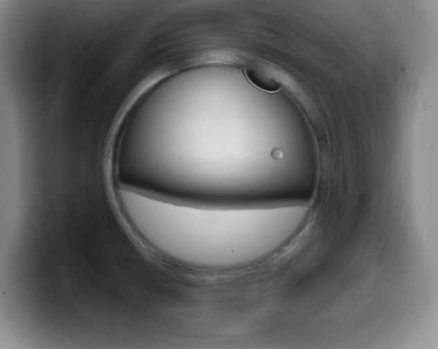 X0000099971426200805230952