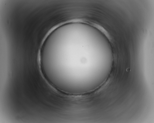 X0000099971428200805230952