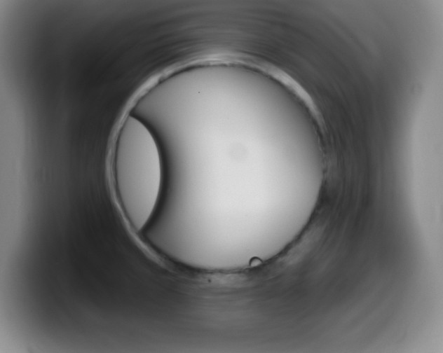 X0000099971429200805230952