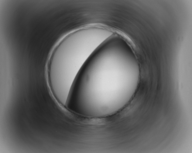 X0000099971430200805230952