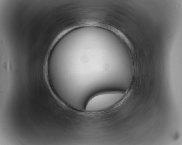 X0000099971432200805230952