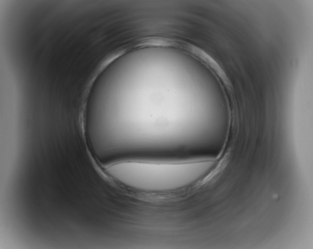X0000099971433200805230952
