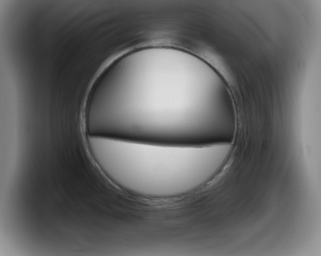 X0000099971436200805230952