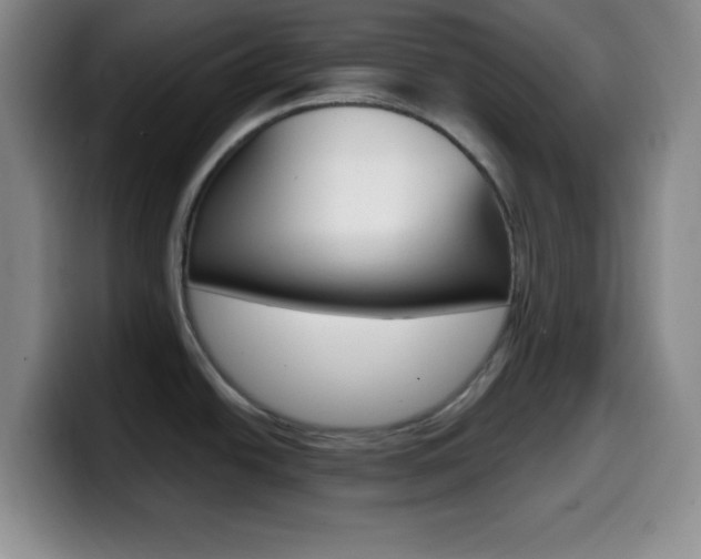 X0000099971438200805230952