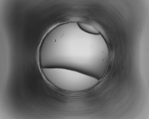 X0000099971439200805230952