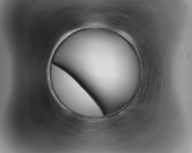 X0000099971440200805230952
