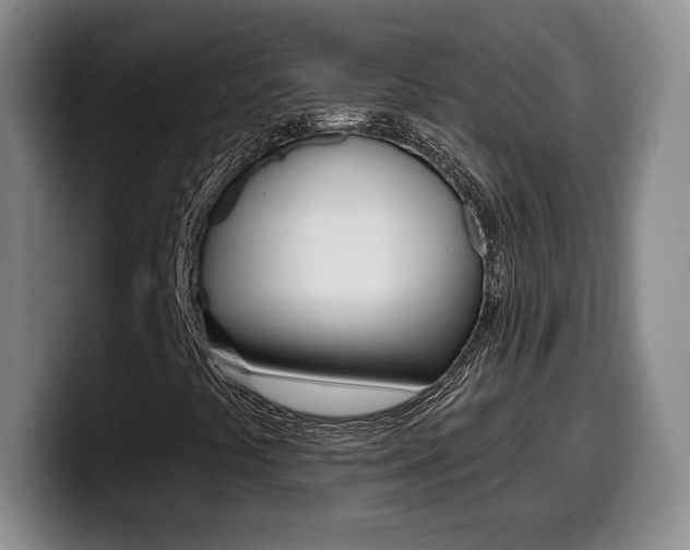 X0000099971441200805230952