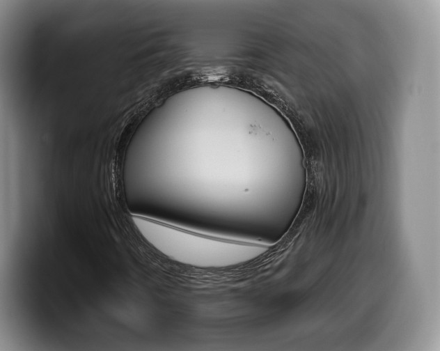 X0000099971442200805230952