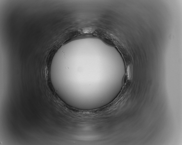 X0000099971443200805230952