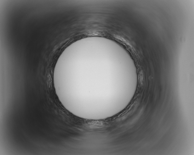X0000099971446200805230951