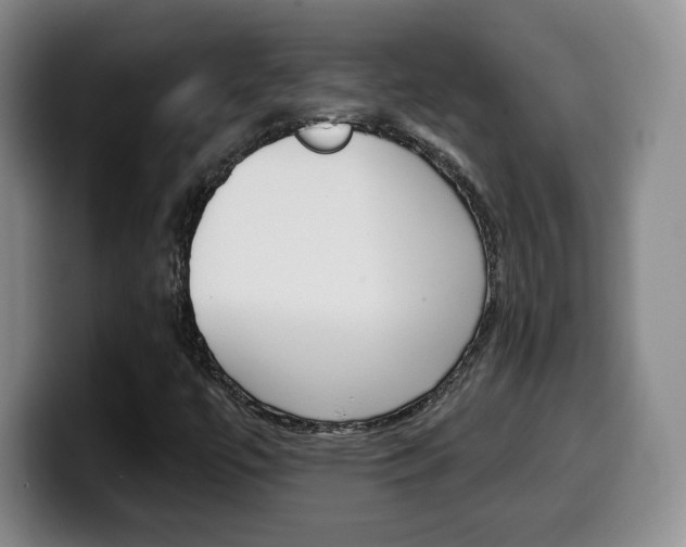 X0000099971447200805230951
