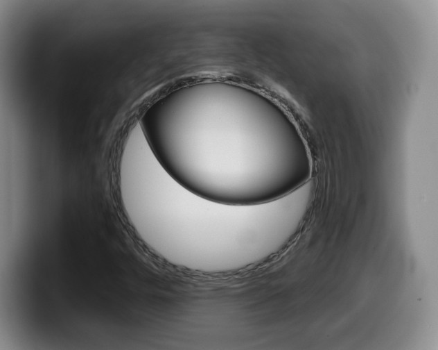 X0000099971448200805230951