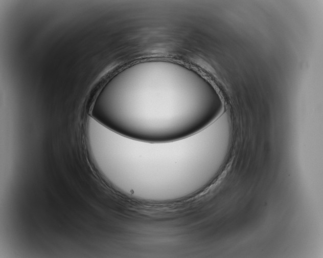X0000099971450200805230951