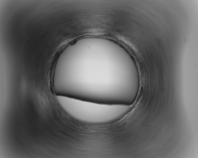 X0000099971451200805230951
