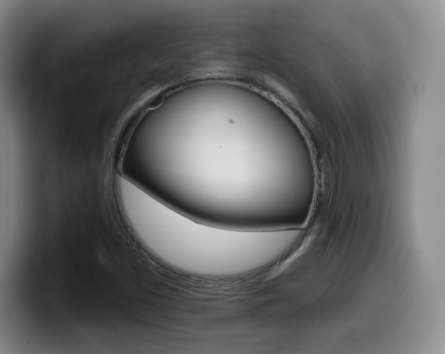 X0000099971453200805230951