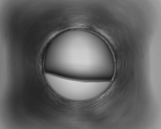X0000099971455200805230951