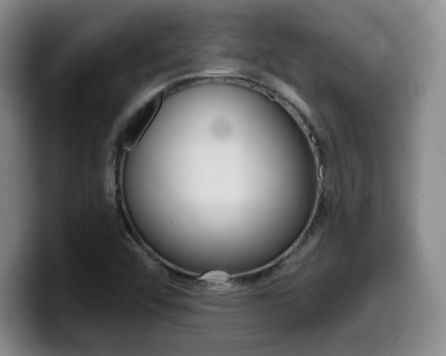 X0000099971456200805230951