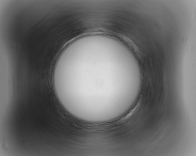 X0000099971457200805230951