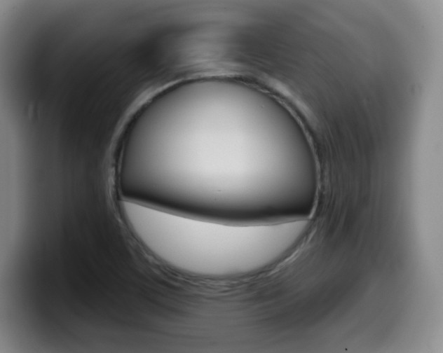 X0000099971459200805230951