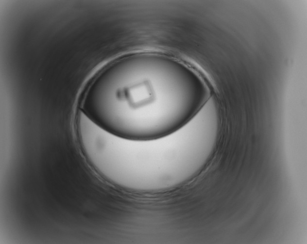 X0000099971460200805230951