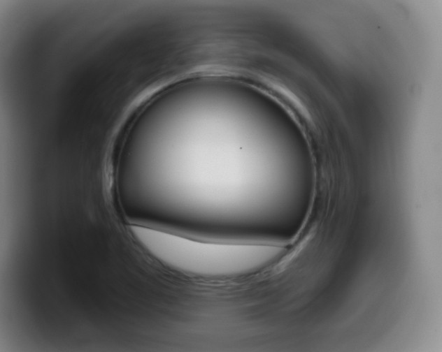 X0000099971461200805230951