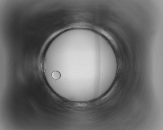 X0000099971462200805230951