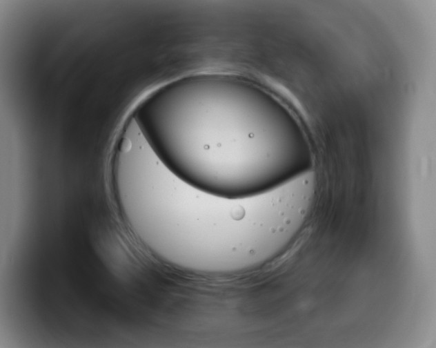 X0000099971463200805230951