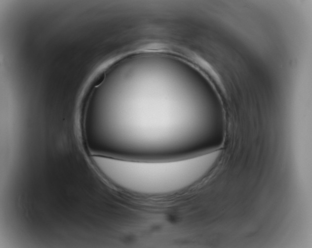 X0000099971464200805230951