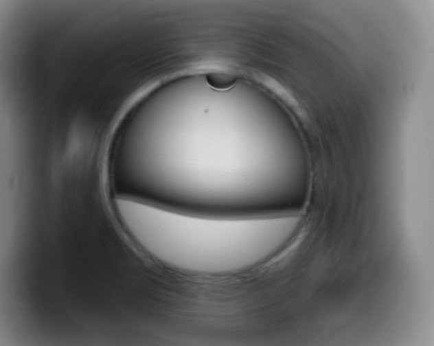 X0000099971469200805230951