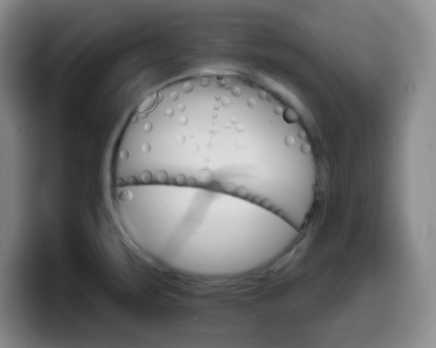 X0000099971471200805230951