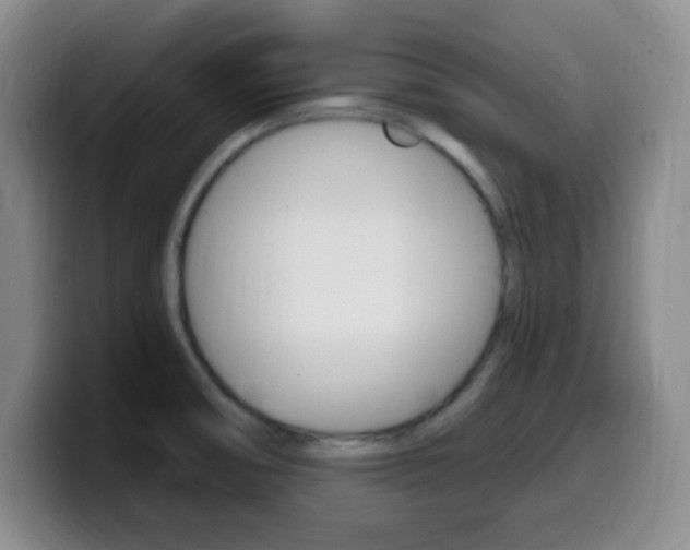 X0000099971474200805230951