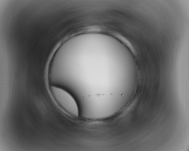 X0000099971475200805230951