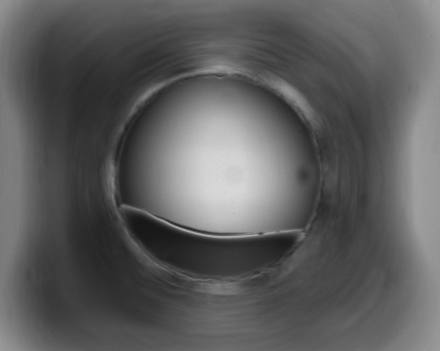 X0000099971476200805230951