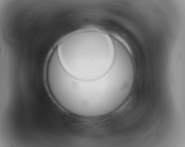 X0000099971477200805230951