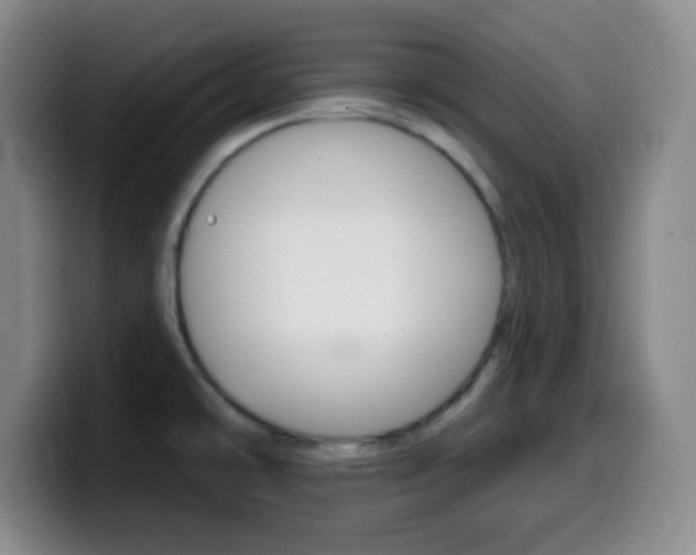X0000099971478200805230951
