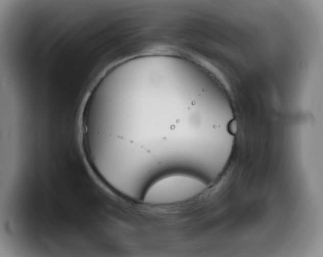 X0000099971479200805230951