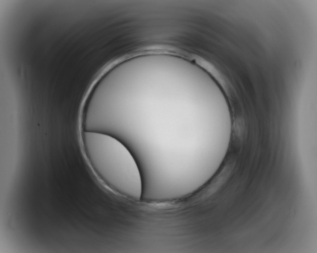 X0000099971482200805230951