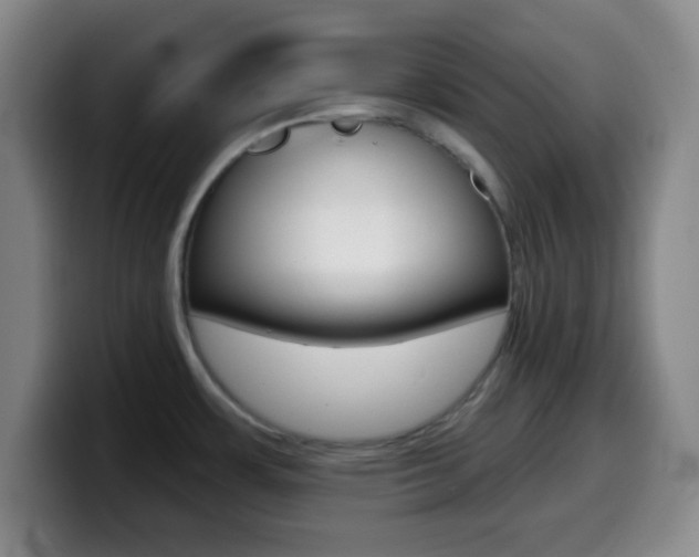 X0000099971483200805230951