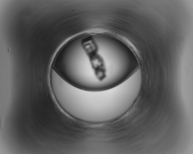 X0000099971484200805230951