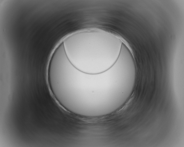 X0000099971485200805230951