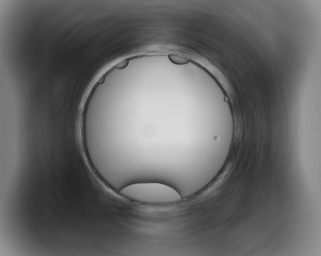 X0000099971486200805230951