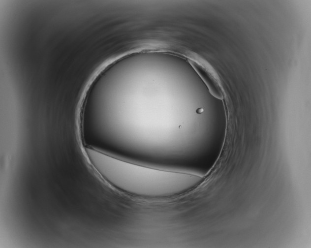 X0000099971488200805230951