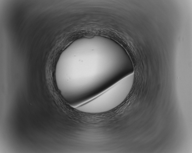 X0000099971489200805230950