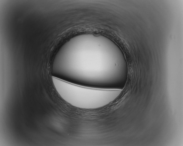 X0000099971490200805230950