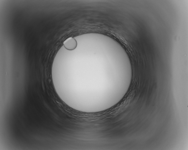 X0000099971492200805230950