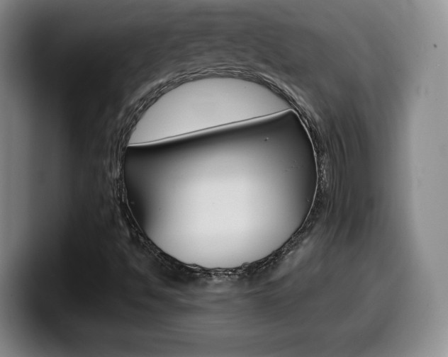 X0000099971494200805230950