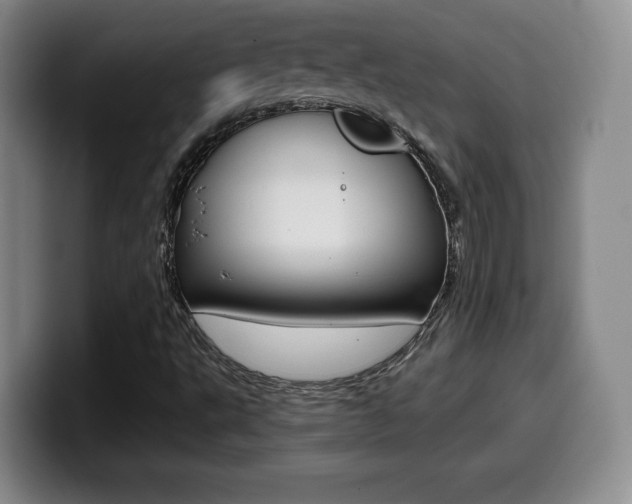 X0000099971495200805230950